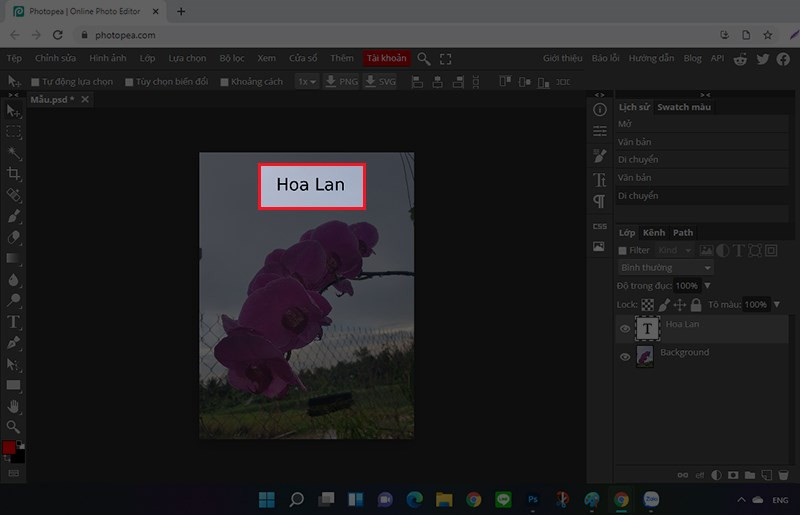 Hướng Dẫn Chèn Chữ Vào Ảnh Online với Photoshop Online Đơn Giản