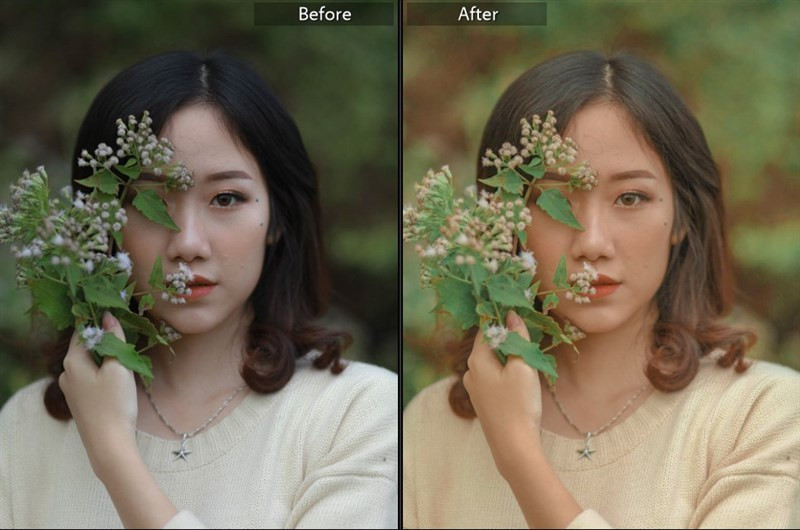 Hóa Ảnh Thiên Nhiên Cực Xịn Với 40+ Preset Lightroom Màu Nắng