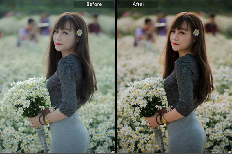 Hóa Ảnh Thiên Nhiên Cực Xịn Với 40+ Preset Lightroom Màu Nắng