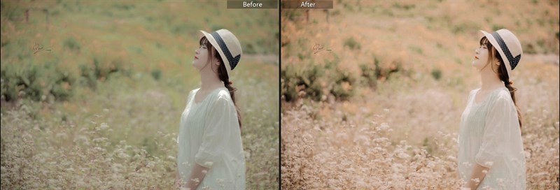 Hóa Ảnh Thiên Nhiên Cực Xịn Với 40+ Preset Lightroom Màu Nắng