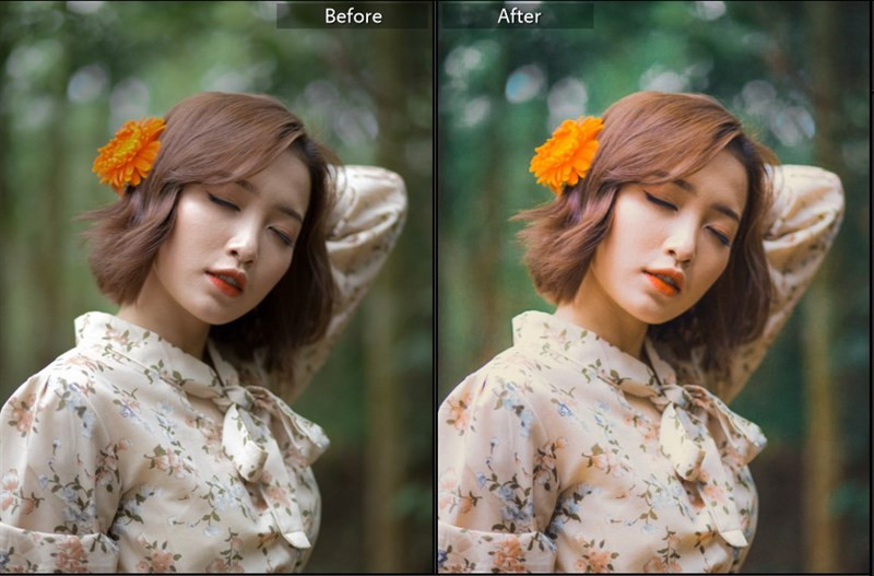 Hóa Ảnh Thiên Nhiên Cực Xịn Với 40+ Preset Lightroom Màu Nắng