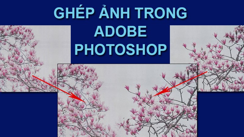 Ghép ảnh hoa lá với Photoshop