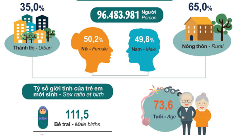 Một phần Infographic thống k&ecirc; d&acirc;n số năm 2019