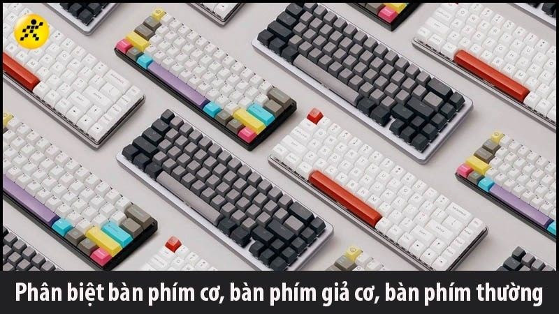 Phân biệt bàn phím cơ, giả cơ và thường