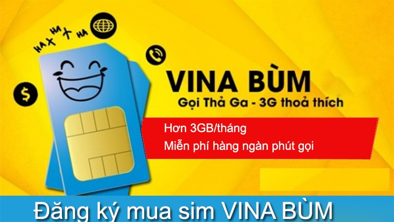 Sim Vina Bùm: Tổng Hợp Các Gói Cước Data Khủng, Ưu Đãi Gọi Nội Ngoại Mạng