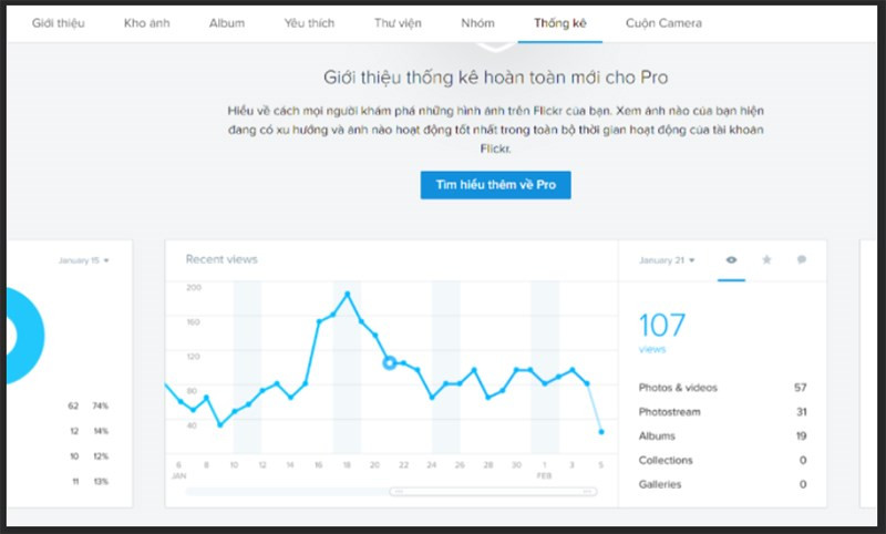 alt text: Biểu đồ thống kê lượt xem ảnh trên Flickr