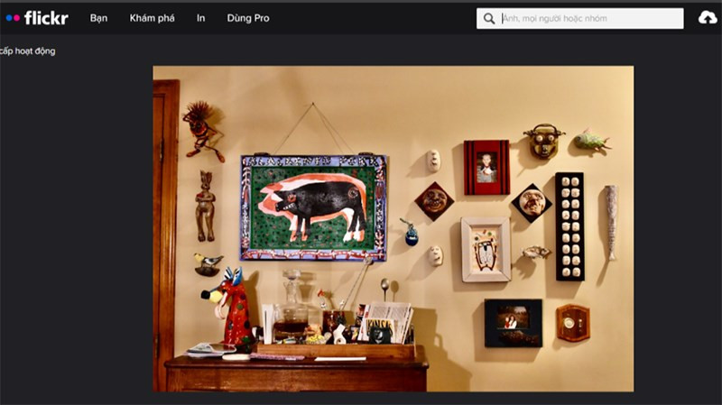 alt text: Giao diện tìm kiếm ảnh trên Flickr