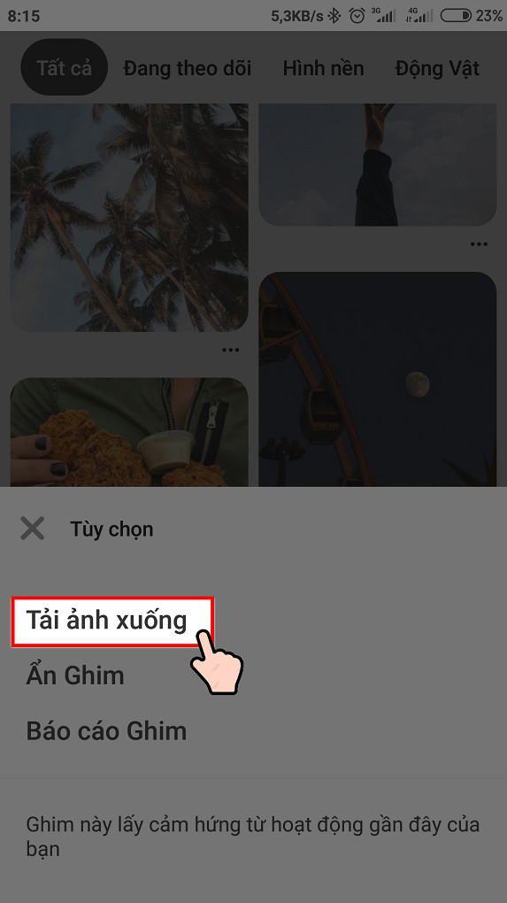 Chọn tải ảnh xuống