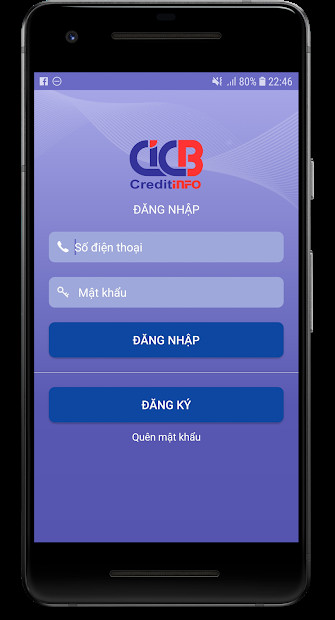 Một số giao diện khác của CIC Credit Connect