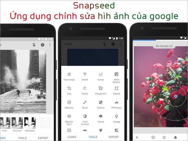 Snapseed - Ứng dụng chỉnh sửa ảnh mạnh mẽ từ Google