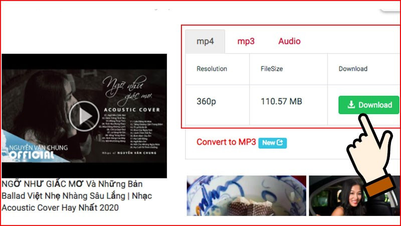 Tải video trên SConverter