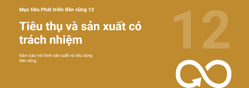 Tiêu thụ và sản xuất có trách nhiệm