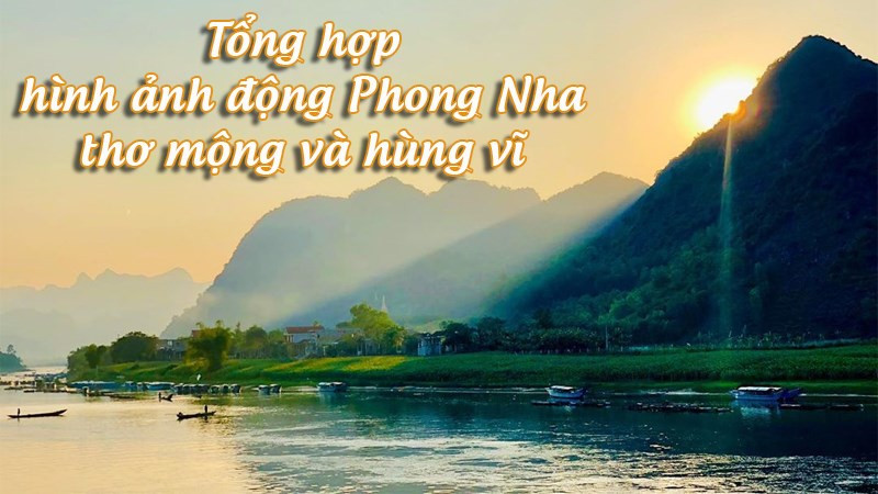 Tổng hợp hình ảnh Động Phong Nha