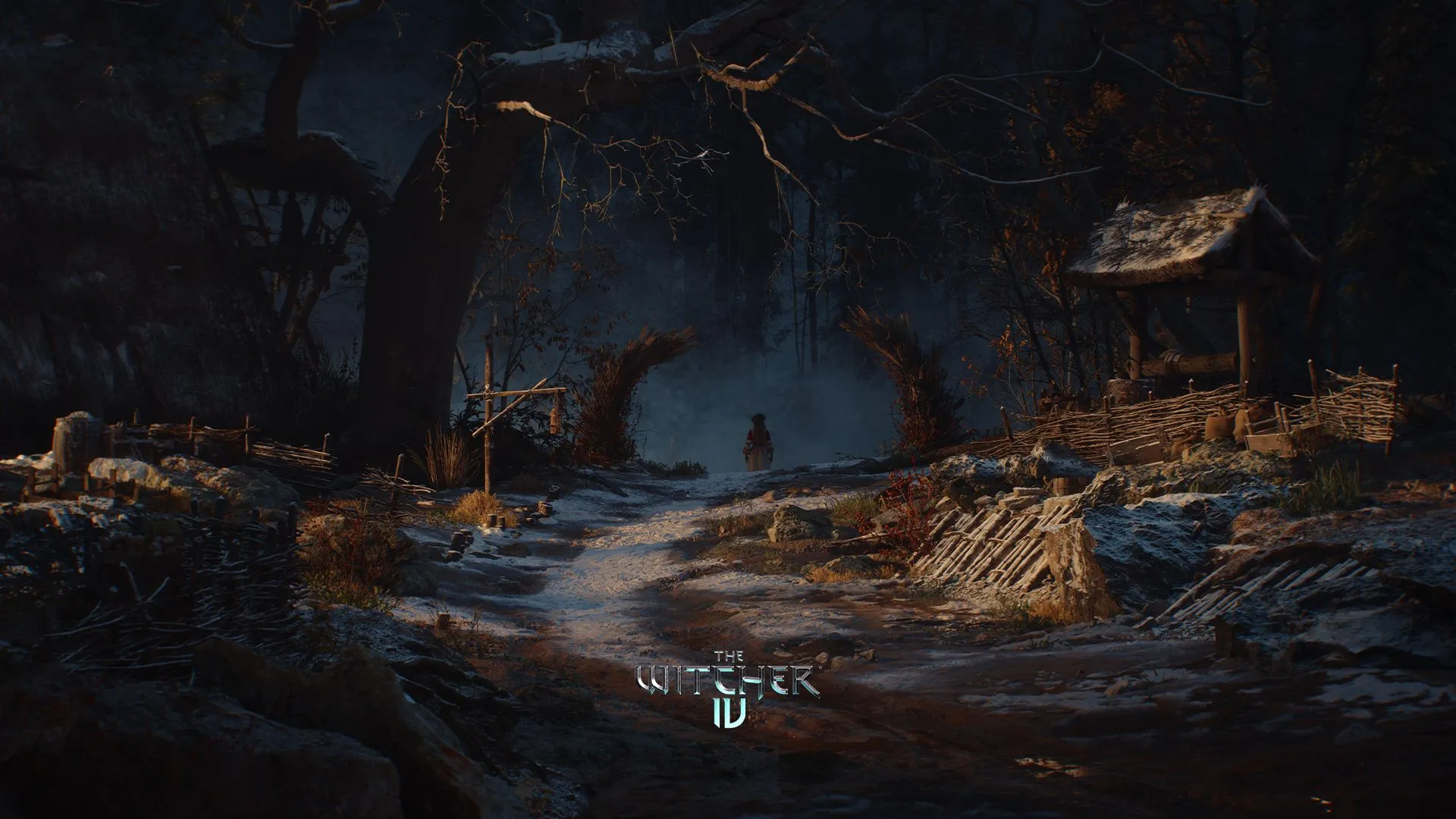 Ảnh báo chí chính thức về dự án The Witcher 4, minh họa thế giới game