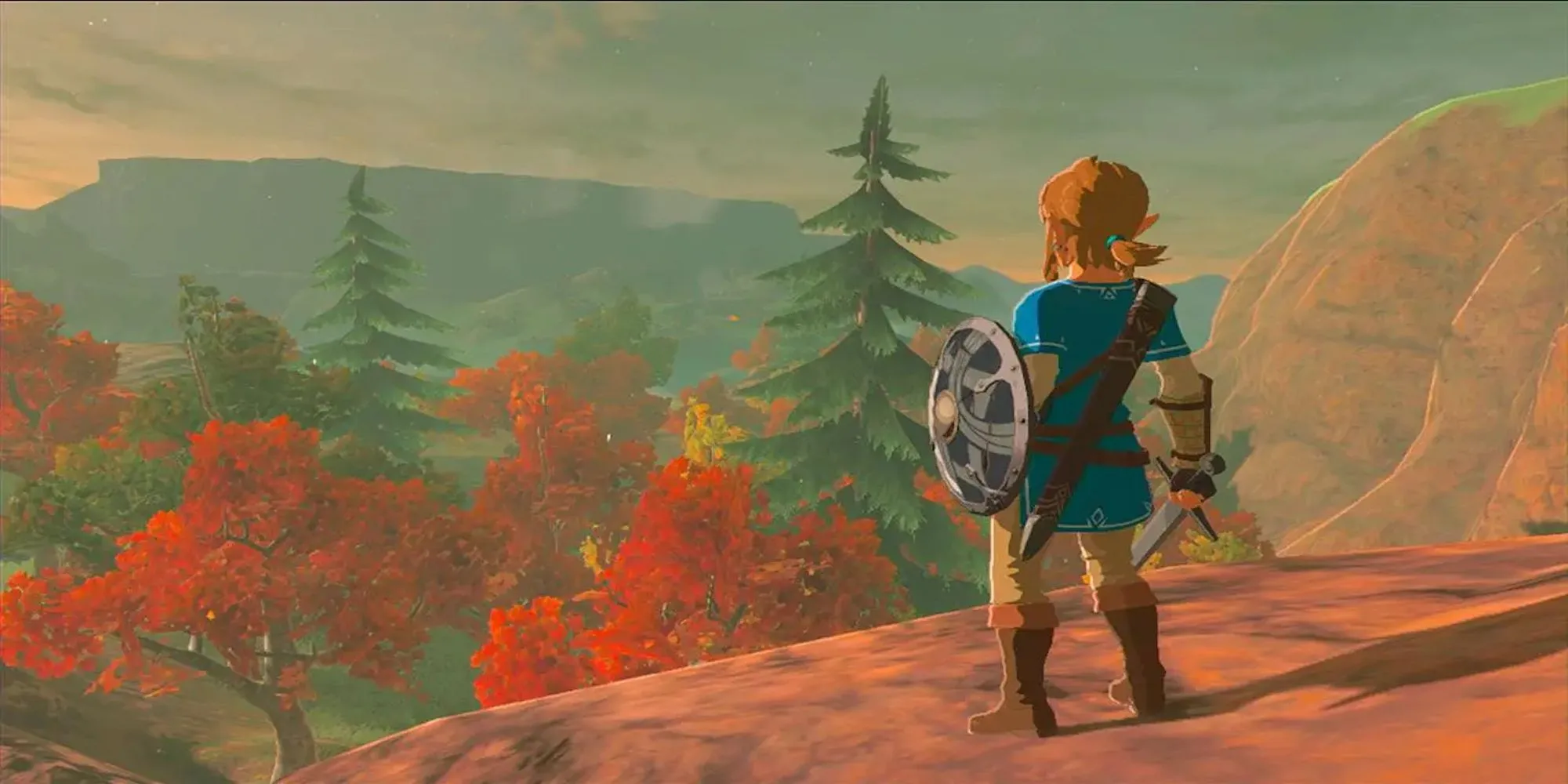 Link nhìn ra vách đá trong game The Legend of Zelda: Breath of the Wild