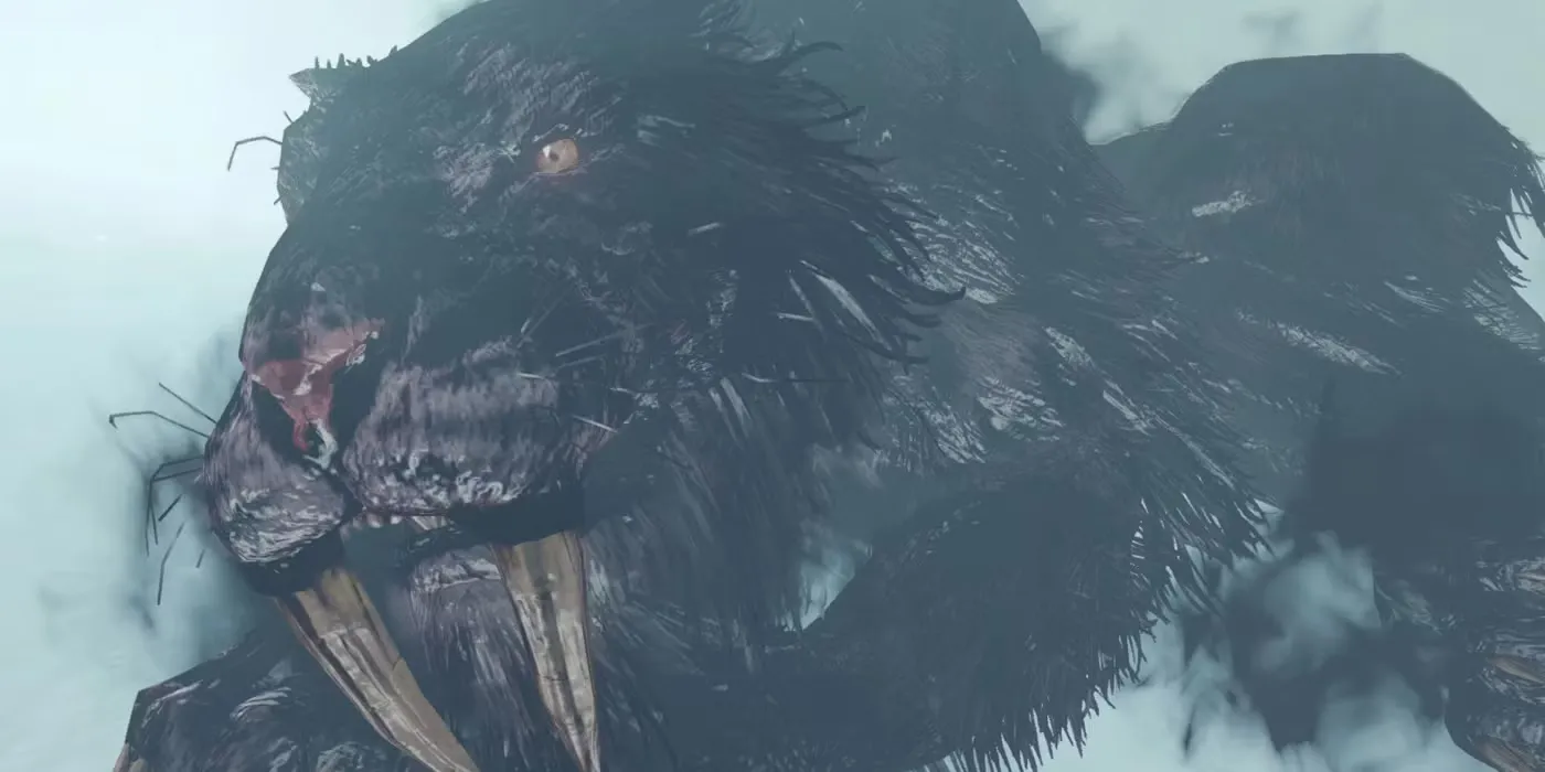 Lud and Zallen hai con hổ boss trong khu vực Frigid Outskirts Dark Souls 2