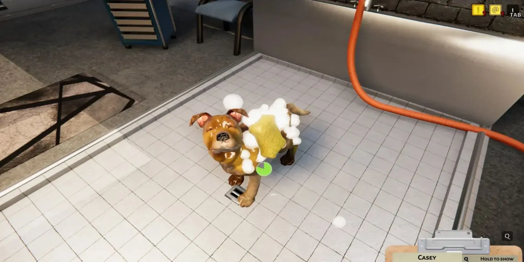 Người chơi đang chăm sóc một chú chó trong game Animal Shelter Simulator