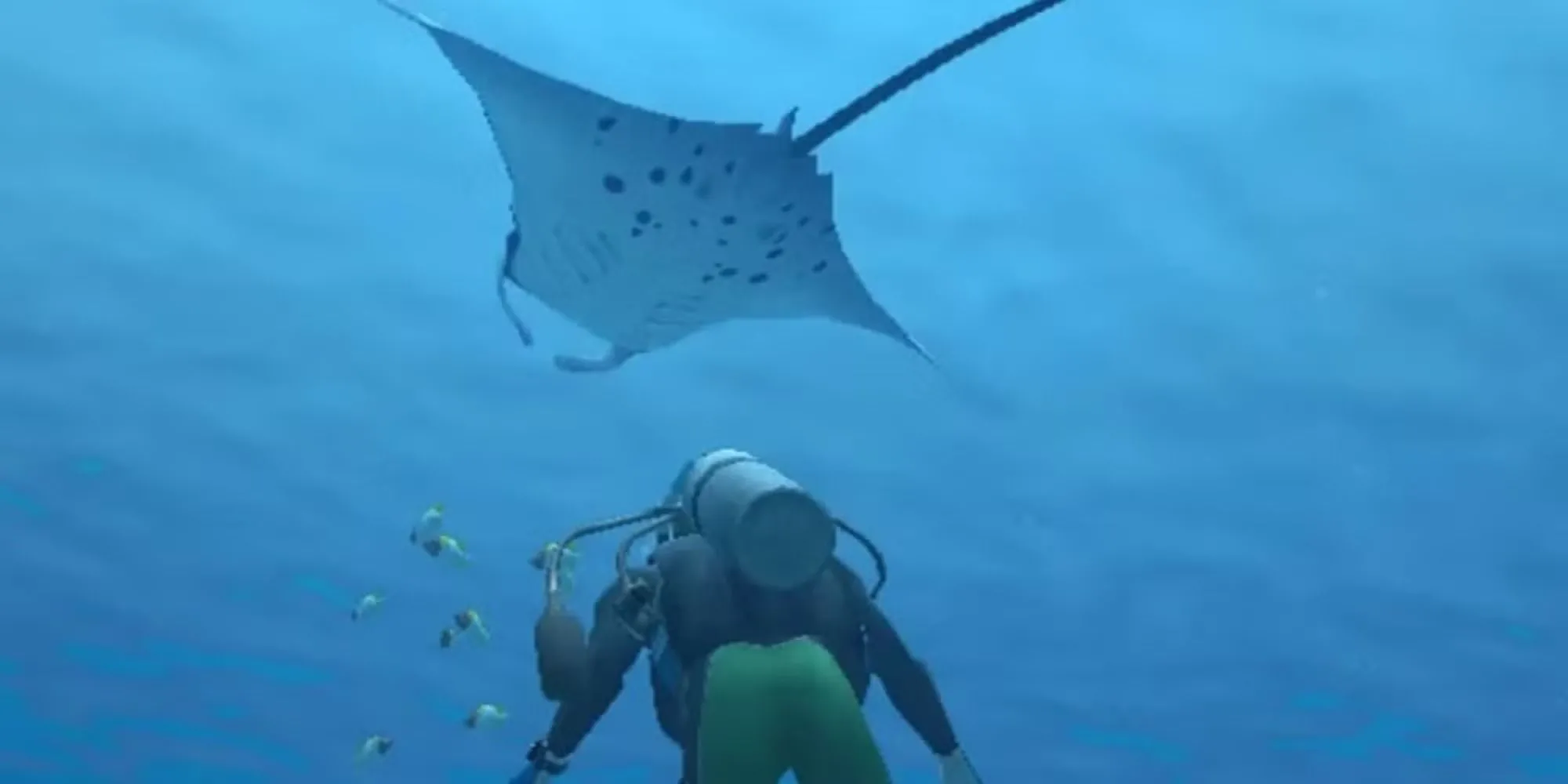 Nhân vật người chơi quan sát cá đuối manta trong Endless Ocean