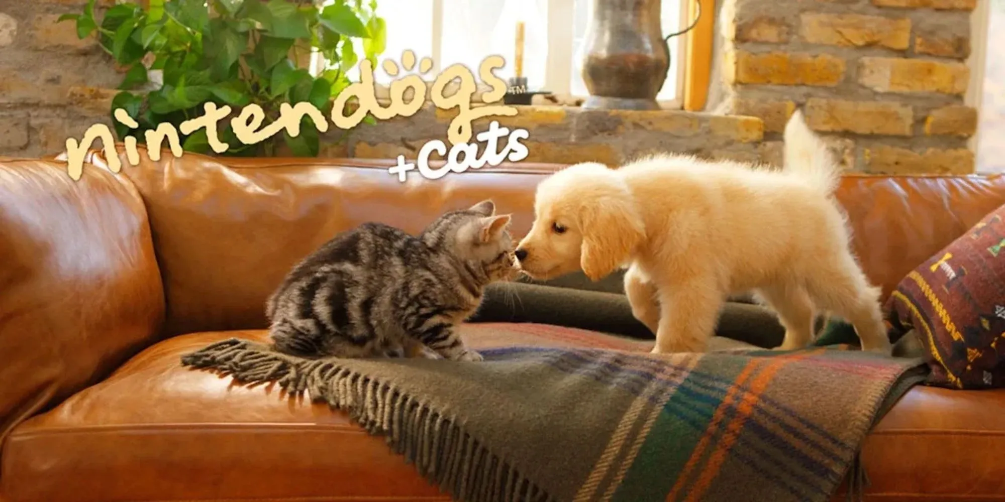 Những chú chó và mèo đáng yêu trong game Nintendogs + Cats của Nintendo