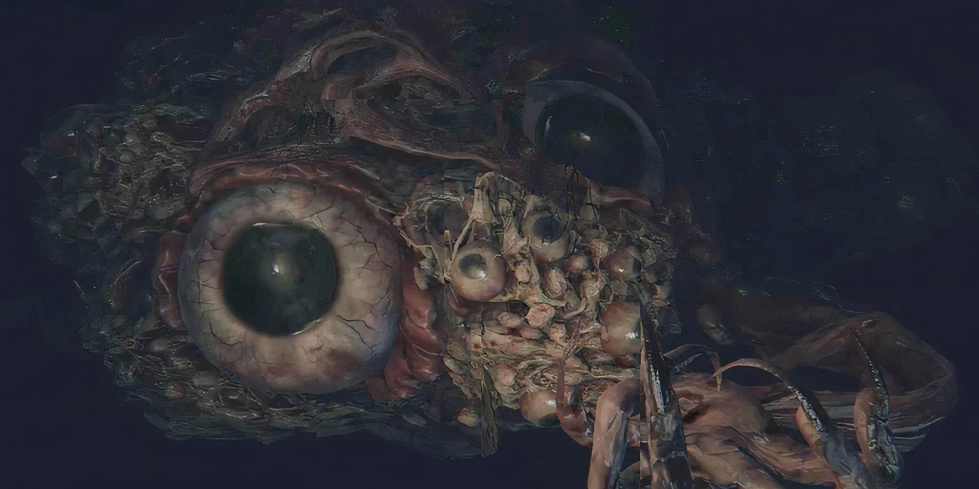 Sinh vật Winter Lantern gây hiệu ứng Hóa Điên (Frenzy) kinh hoàng trong Bloodborne