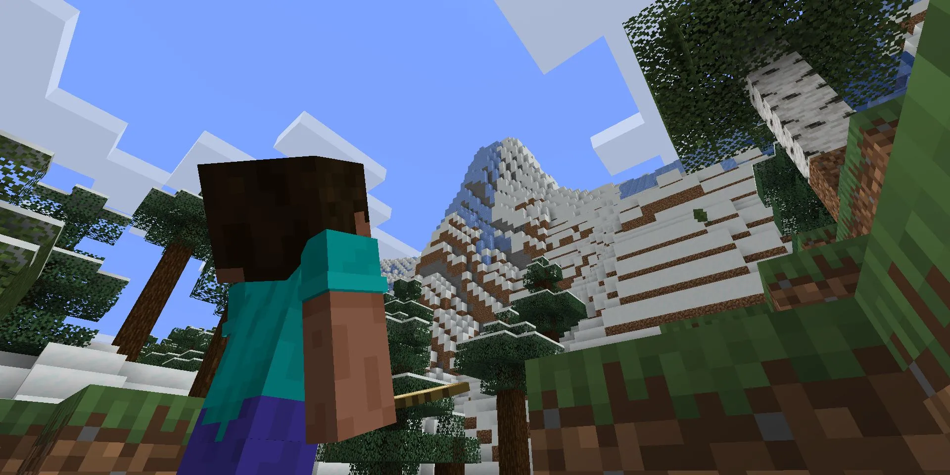 Steve đang nhìn lên vách núi cao trong game Minecraft