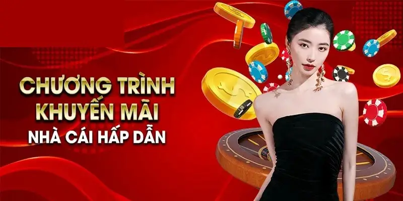 Nhà Cái Xoso333 – Sự Lựa Chọn Hàng Đầu Của Game Thủ