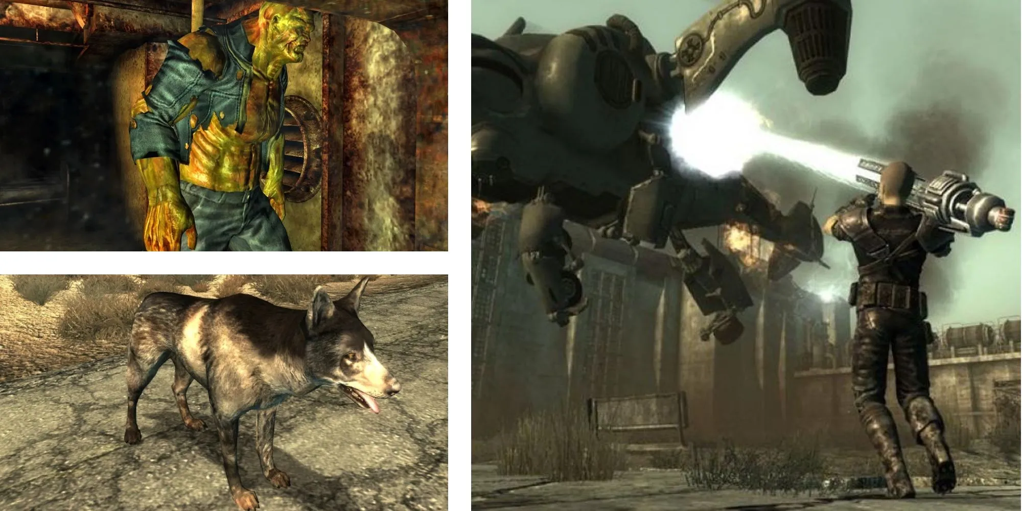 Các bạn đồng hành tiềm năng trong game Fallout 3