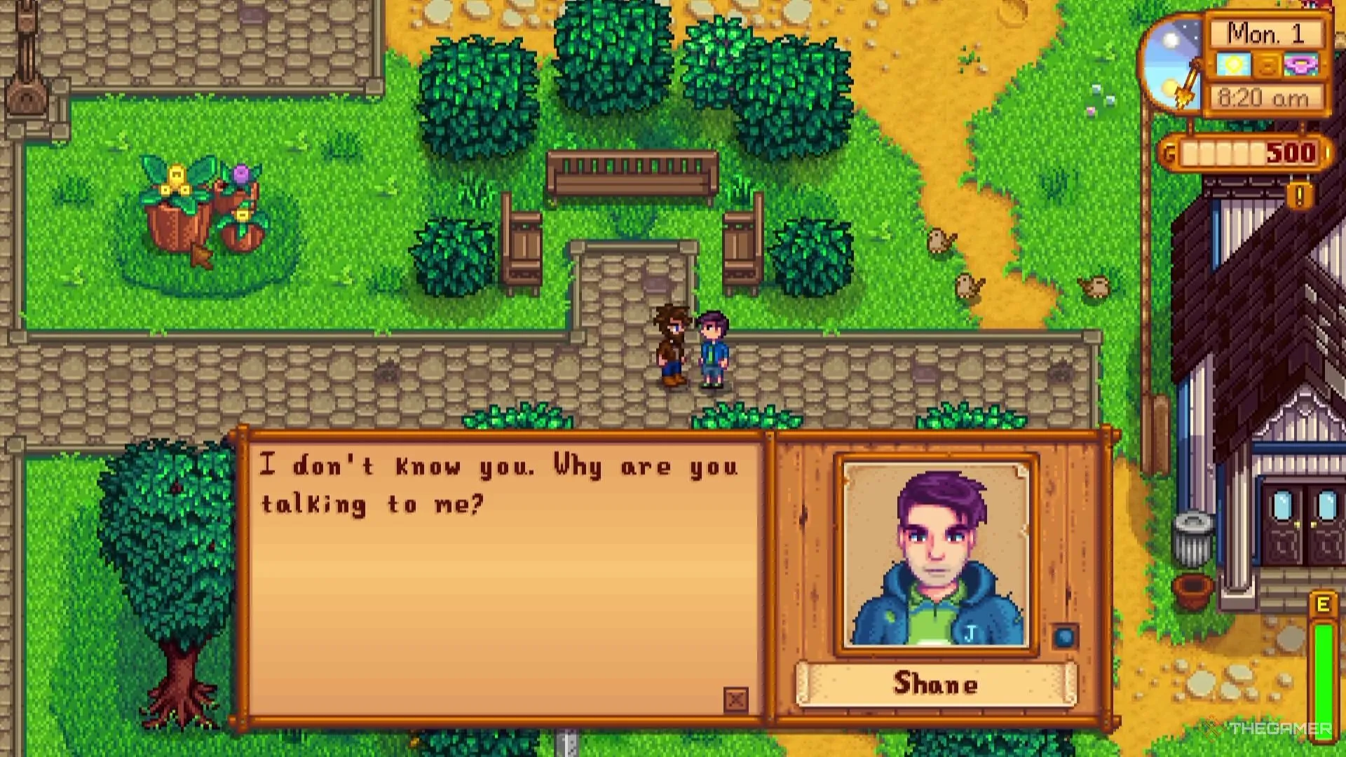Người chơi gặp gỡ Shane trong Stardew Valley, một nhân vật có câu chuyện phức tạp